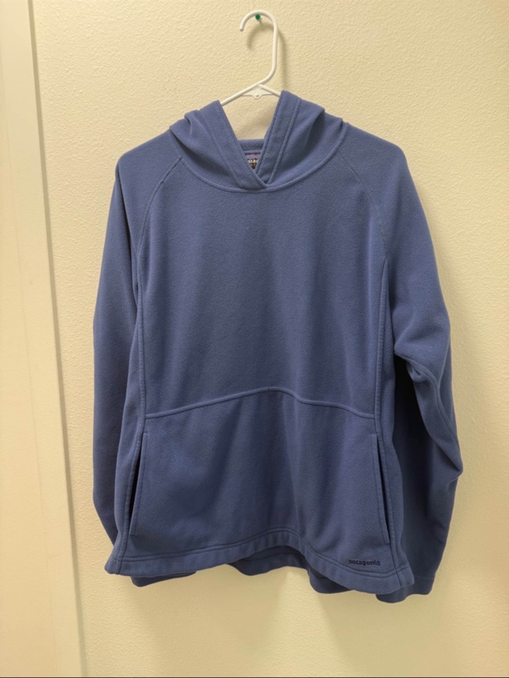 Patagonia Blue Hooded Fleece Pullover